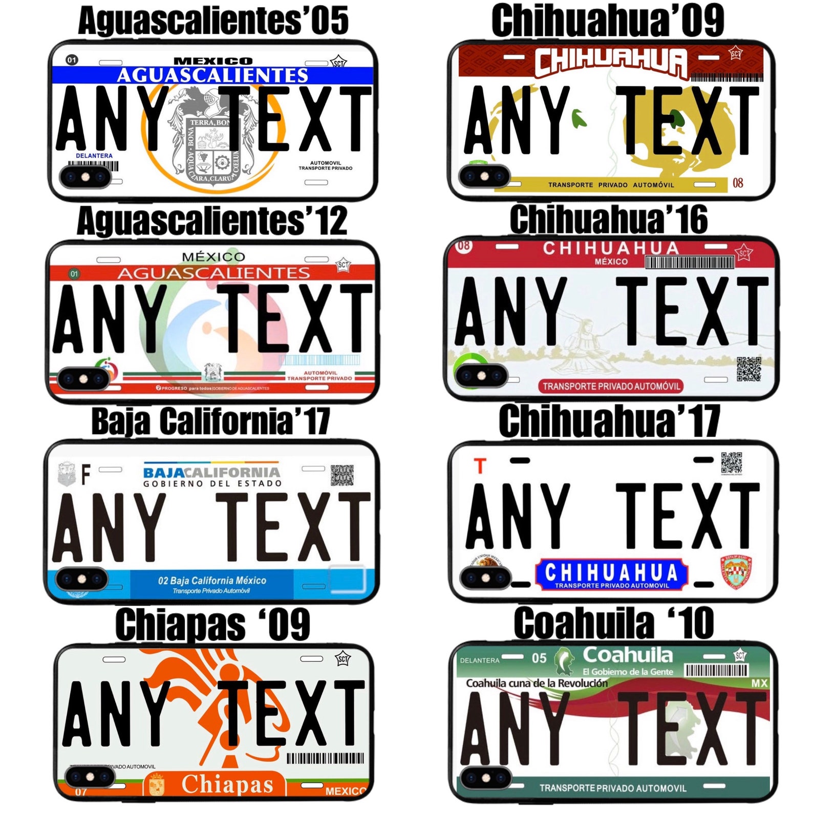 Hidalgo County Vehicle Registration 03 - mdwlfet