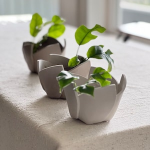Ceramic Tutorial Video - Step by Step Guide on How to Make a Cut and Fold Tulip Planter