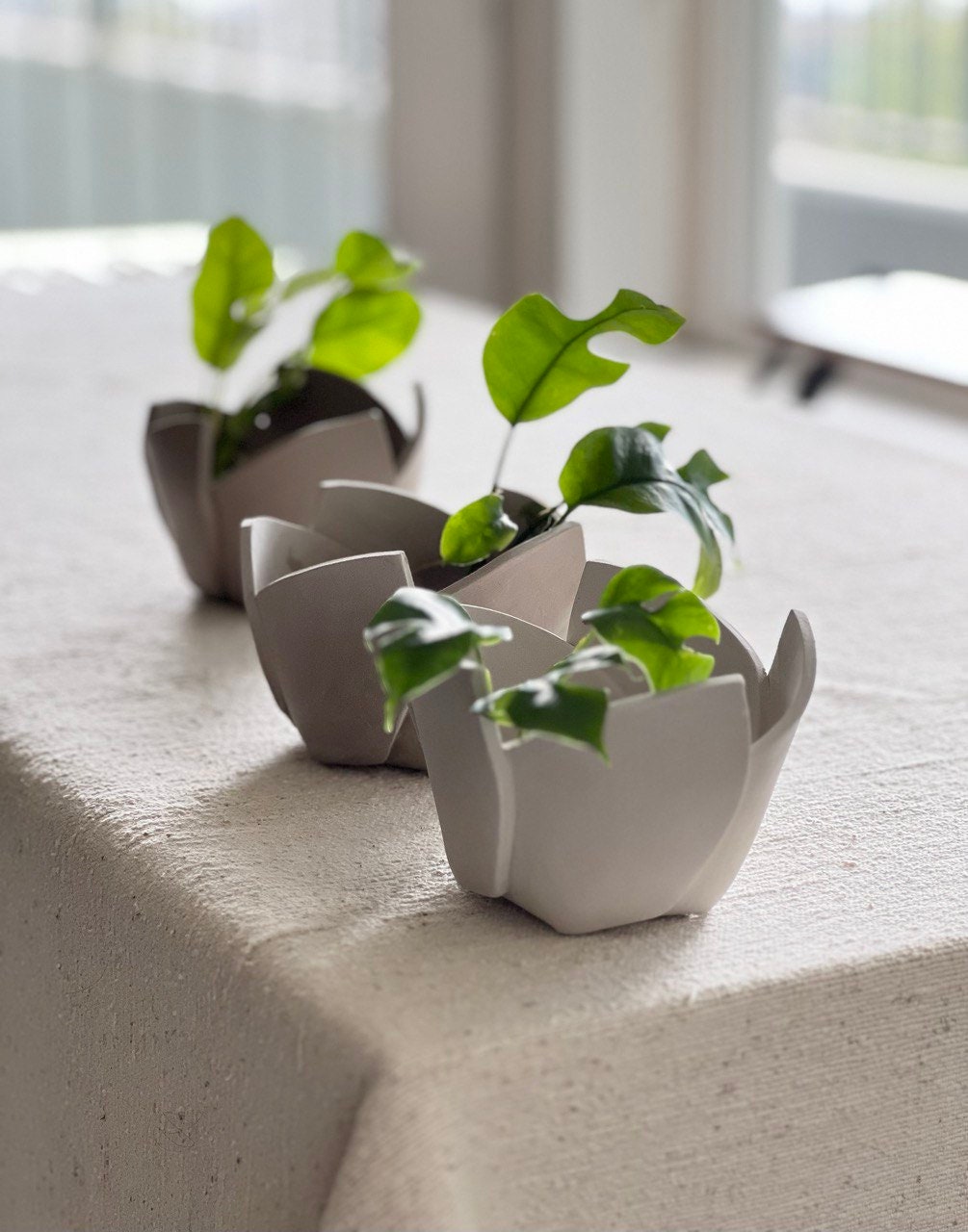 Ceramic Template No. 5- Cut & Fold Vase/ Planter - Etsy