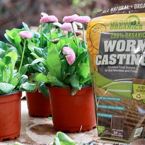 Organic Worm Castings 20 oz bag