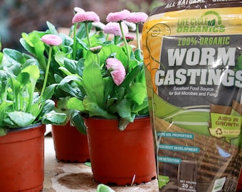 Organic Worm Castings 20 oz bag
