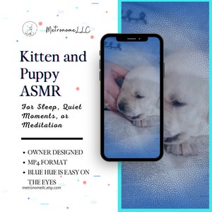Relaxing Sounds, Quiet Time Video. Adorable Yawning Kitten and Puppy ASMR, 2 Minute Mobile Ready MP4 Video Download