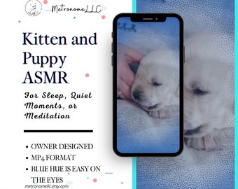Relaxing Sounds, Quiet Time Video. Adorable Yawning Kitten and Puppy ASMR, 2 Minute Mobile Ready MP4 Video Download