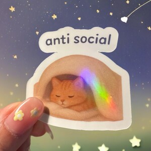 Cute Cat Kitty Sticker Pack, Holographic Waterproof Vinyl Stickers for Laptop, Planner, Scrapbook, Waterbottle