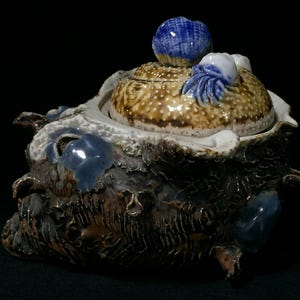 May include: A ceramic lidded jar with a textured, dark brown base featuring blue accents. The lid is tan with a bumpy surface, topped with a blue and white sculpted shell-like handle. The overall design incorporates organic, irregular shapes.