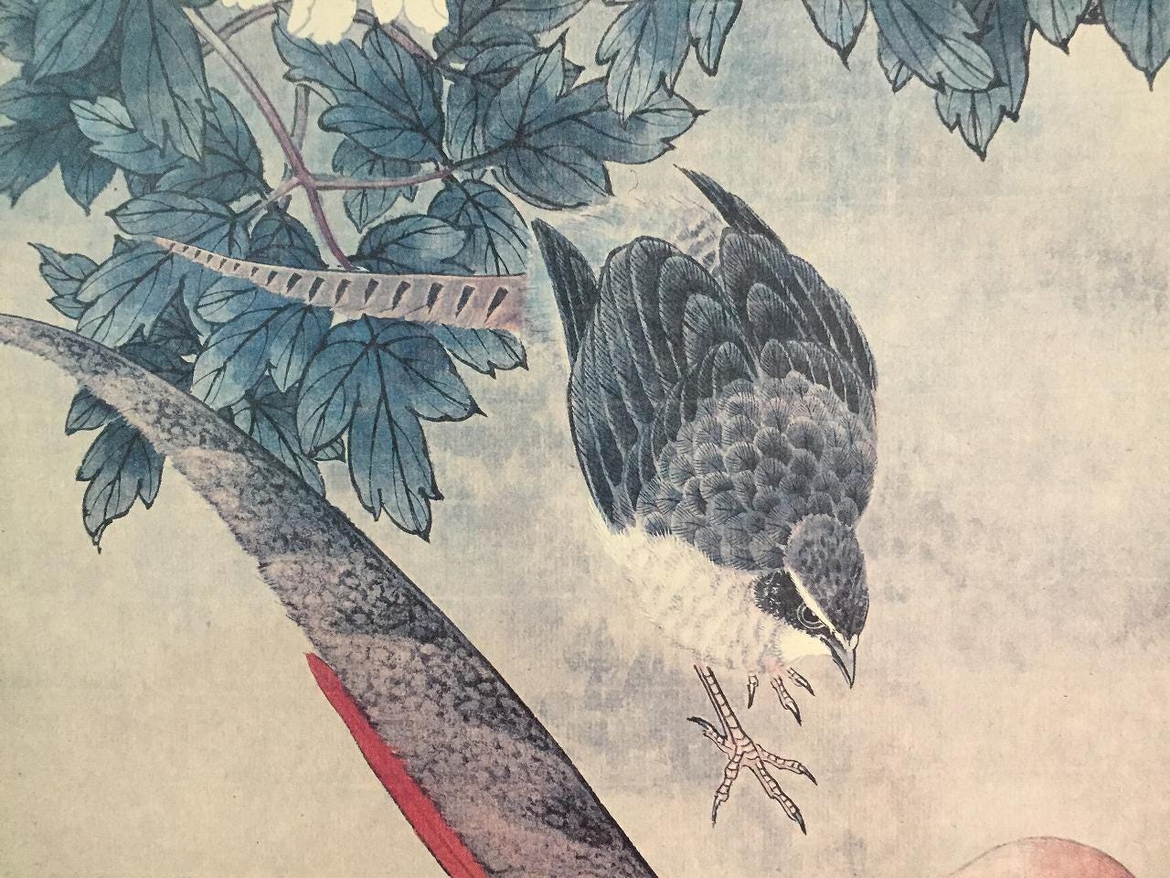 L1579 Vintage Japanese Pheasant Peony Flower Bird Hanging Scroll