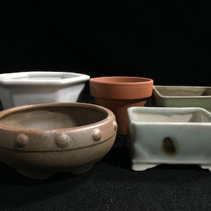May include: A collection of five ceramic and terracotta plant pots of various shapes and sizes. The set includes a white hexagonal pot, a round terracotta pot, a square green pot, a round tan pot with raised dots, and a small white rectangular pot.