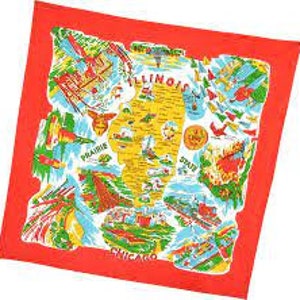 Asciugamano da cucina con mappa dello stato dell'Illinois