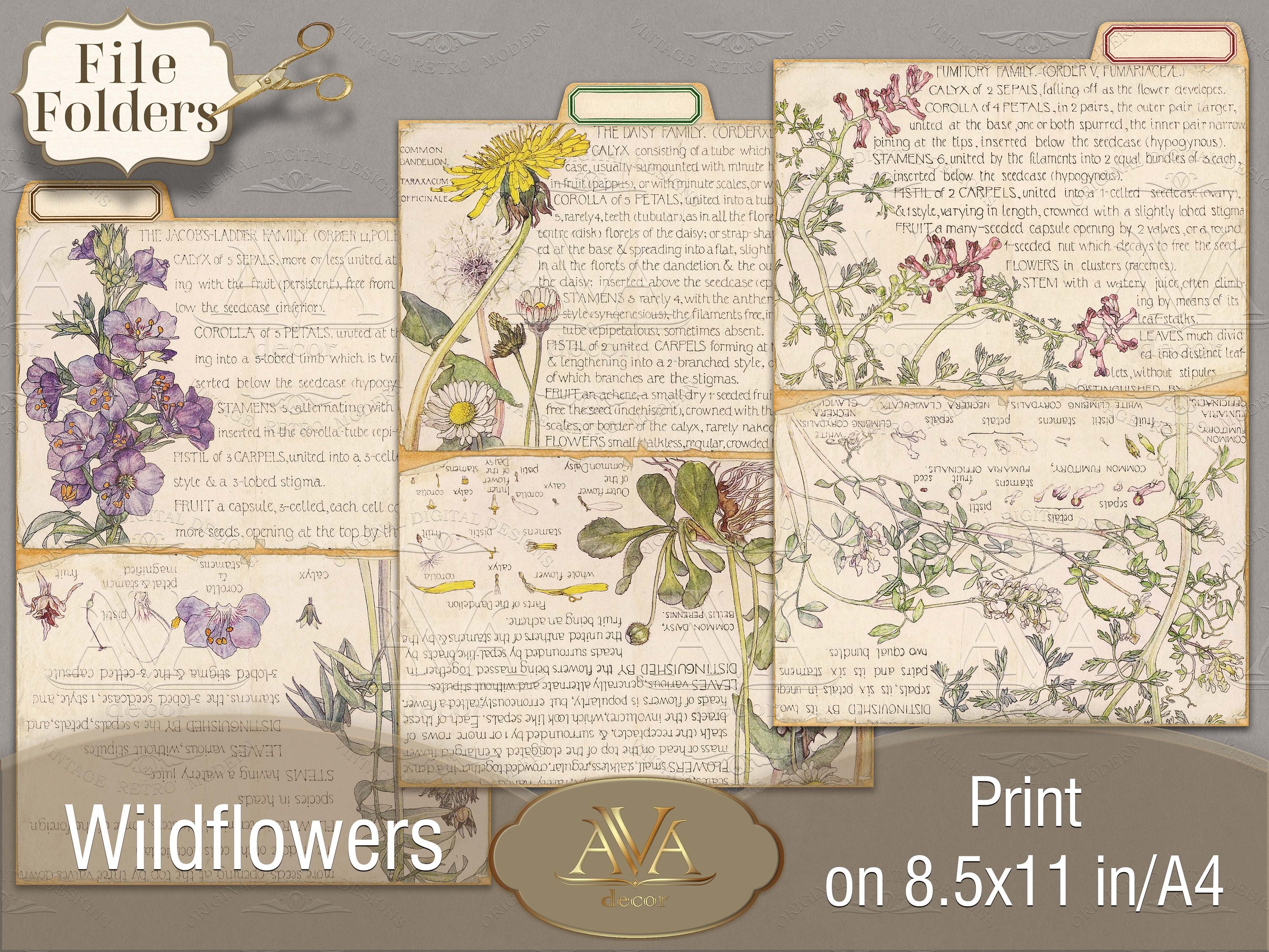 File Folder Printable Wildflower Junk Journal Insert Botanical | Etsy