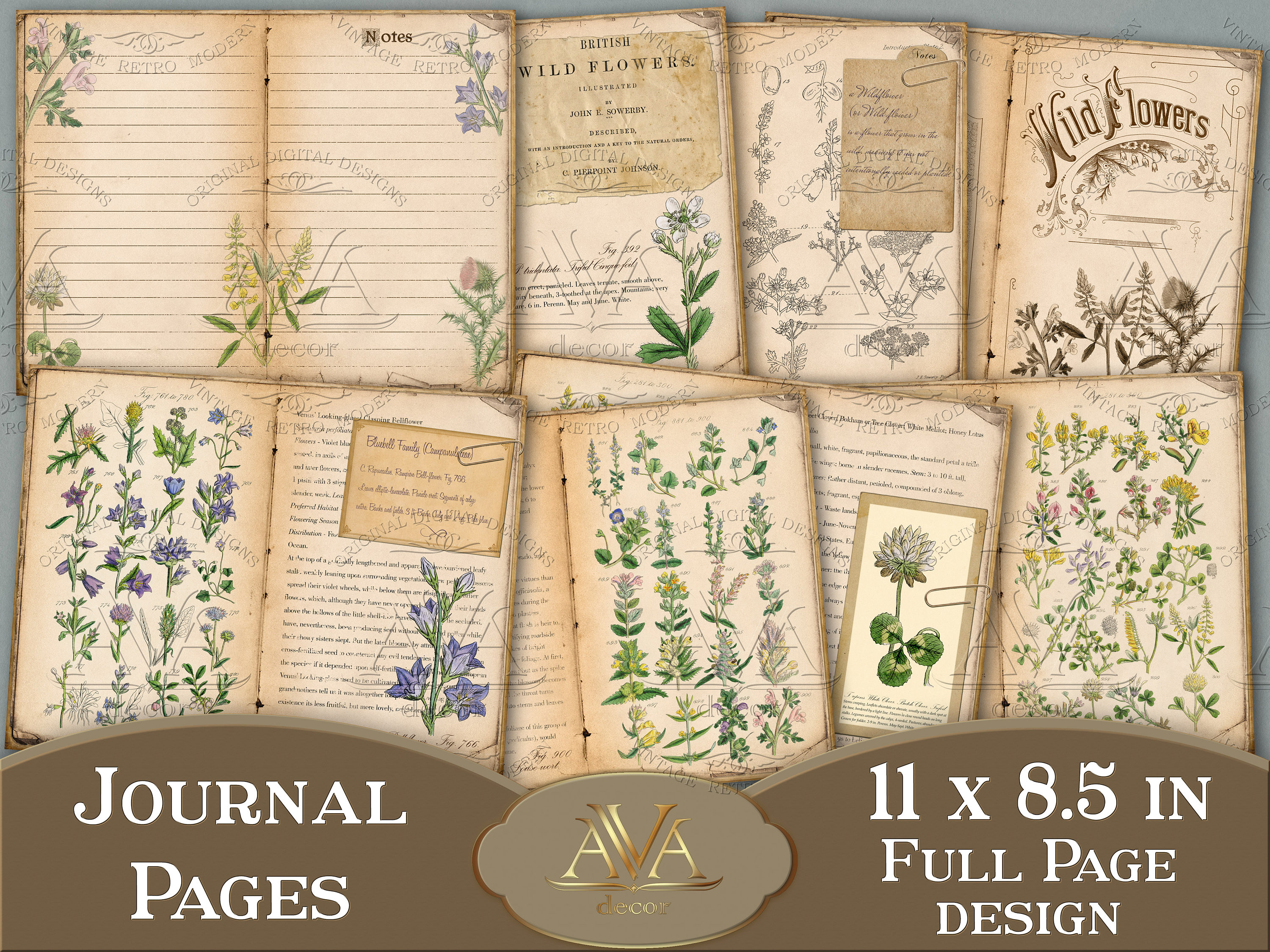 Botany journal