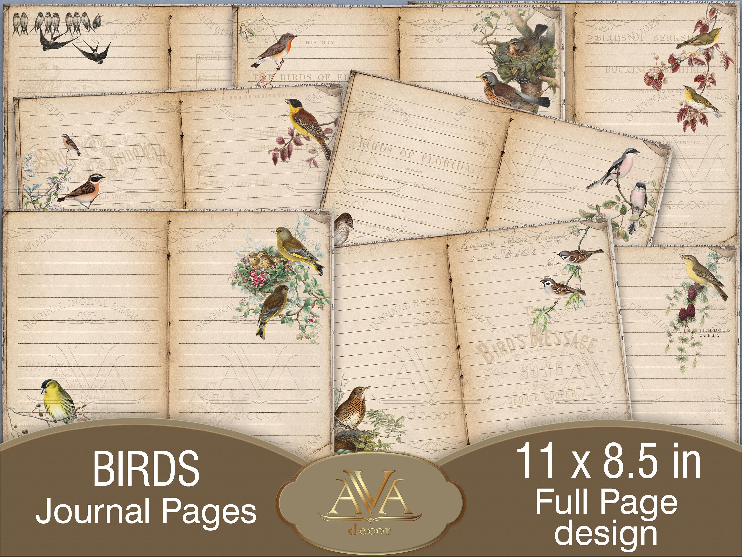 Birds Journal Pages Printable Lined &amp; Blank Junk journal | Etsy