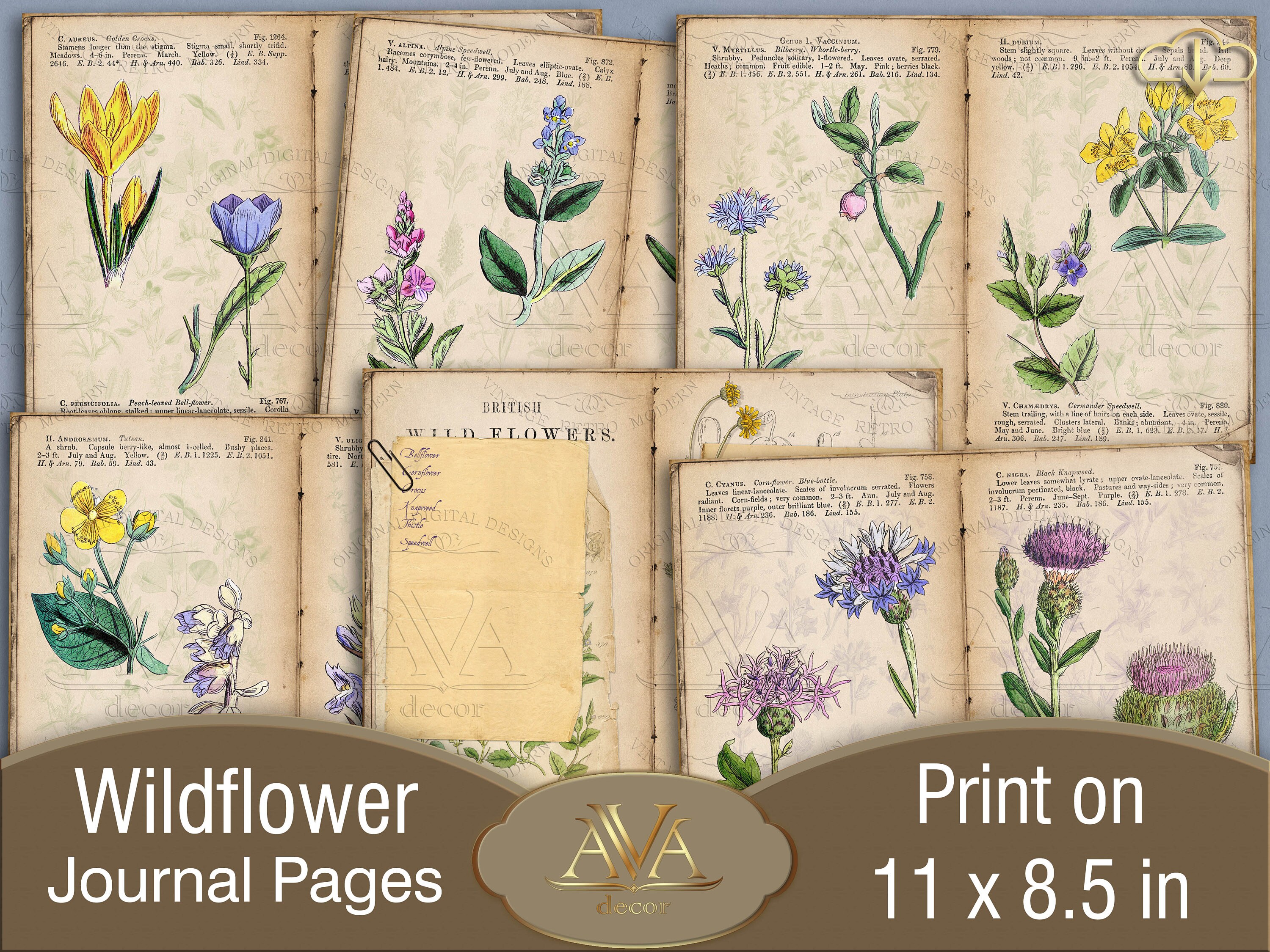 Botanical Wildflowers Journal Pages Printable Wildflower Junk Etsy UK