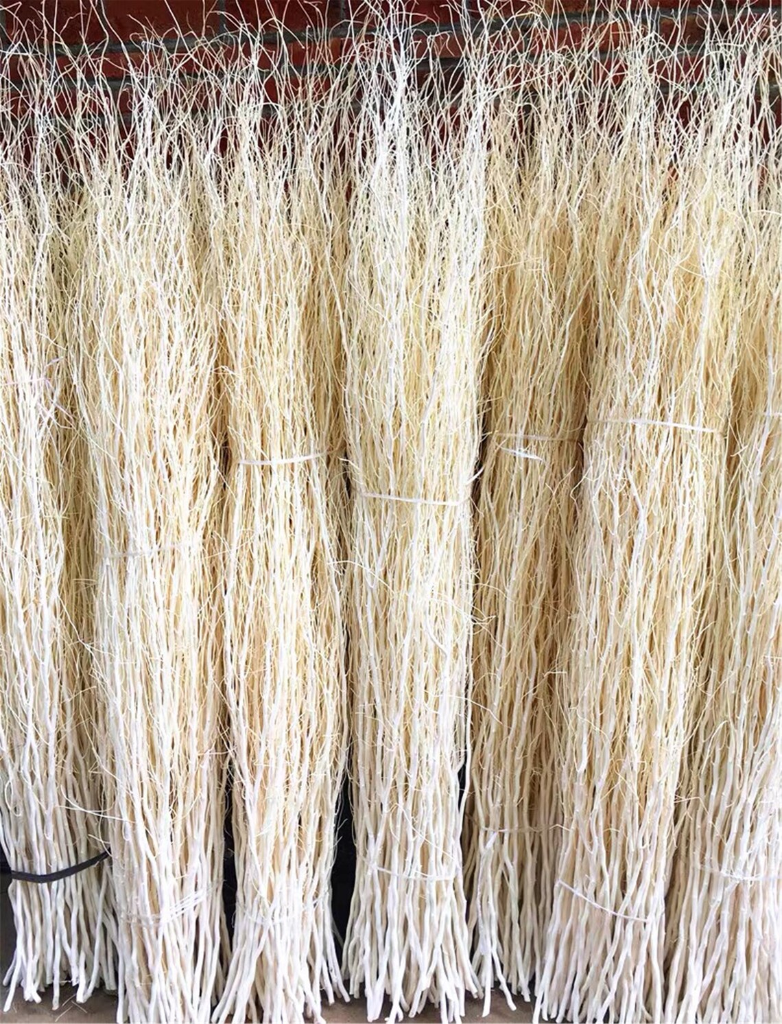 15 dried willow branches / dried branches dried flowers / Etsy
