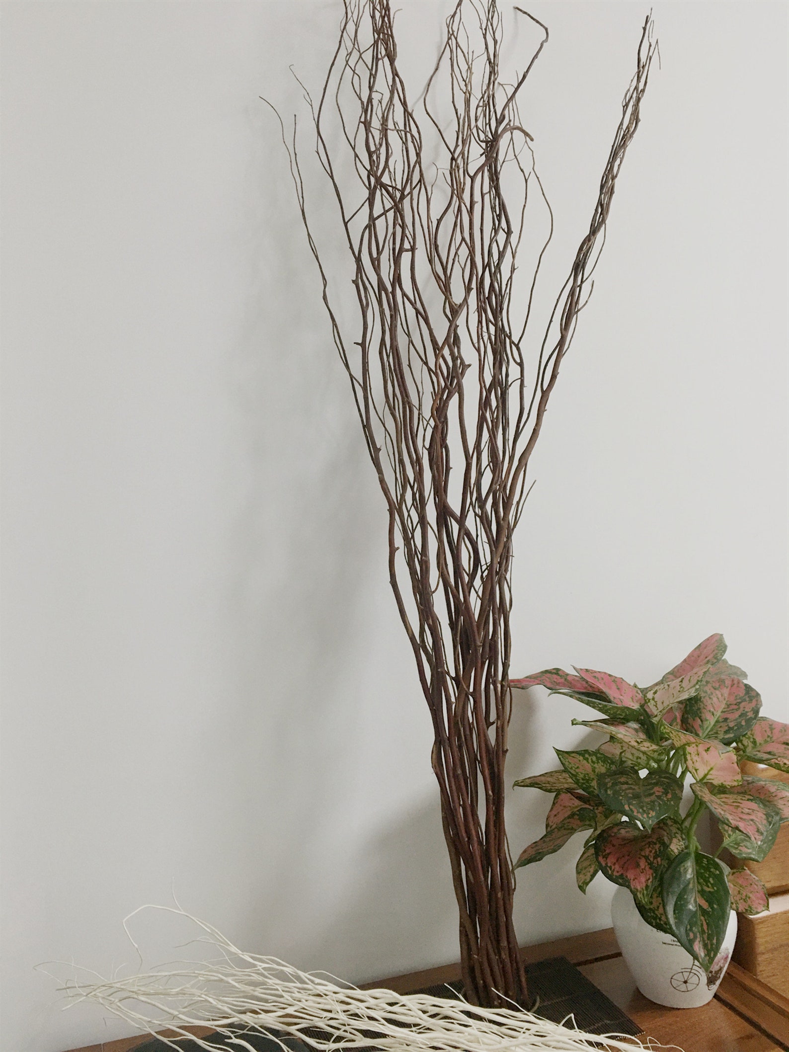 15 Dried Willow Branches / Dried Branches Dried Flowers / Etsy