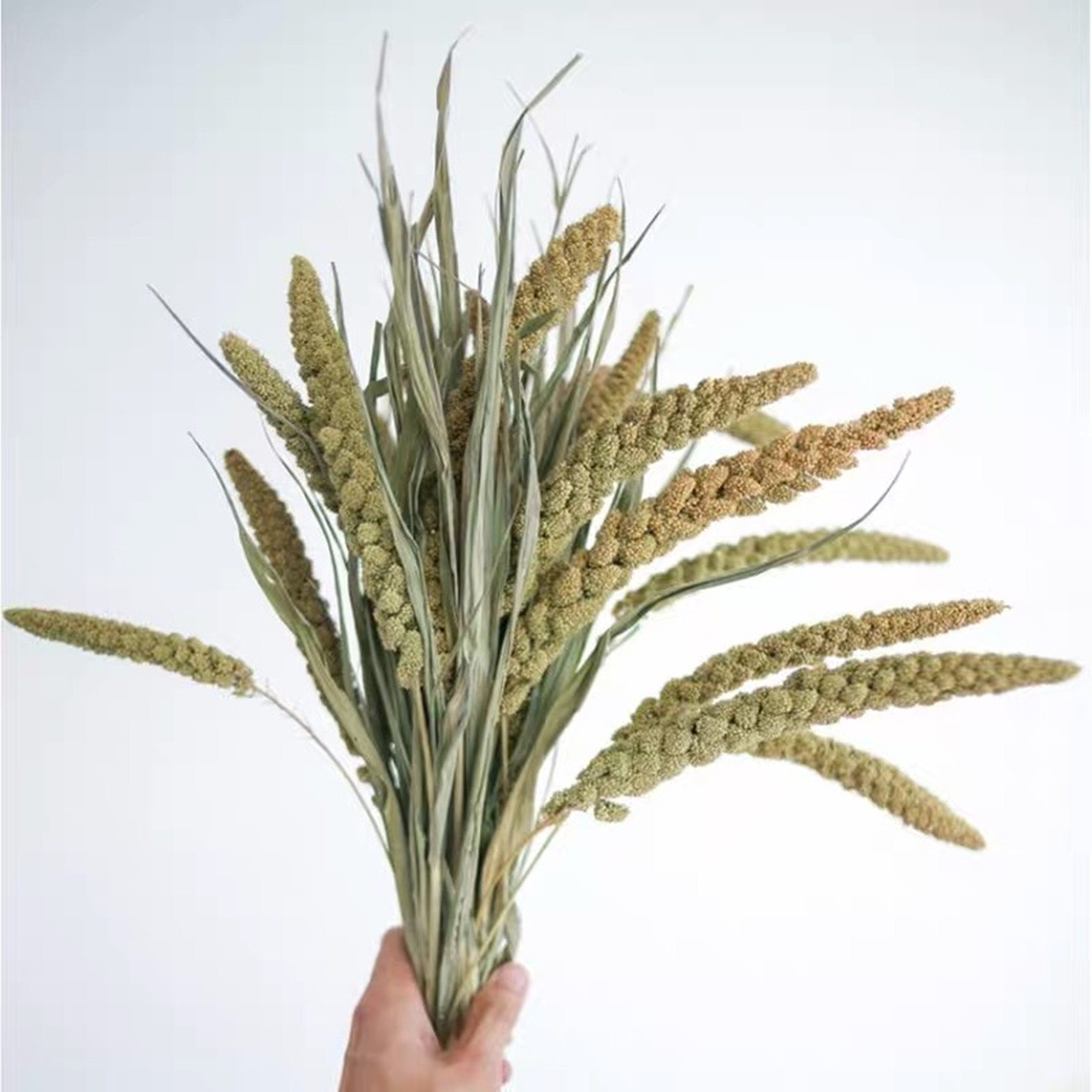 10 stems millet spike dried flower bouquet / millet spike art Etsy