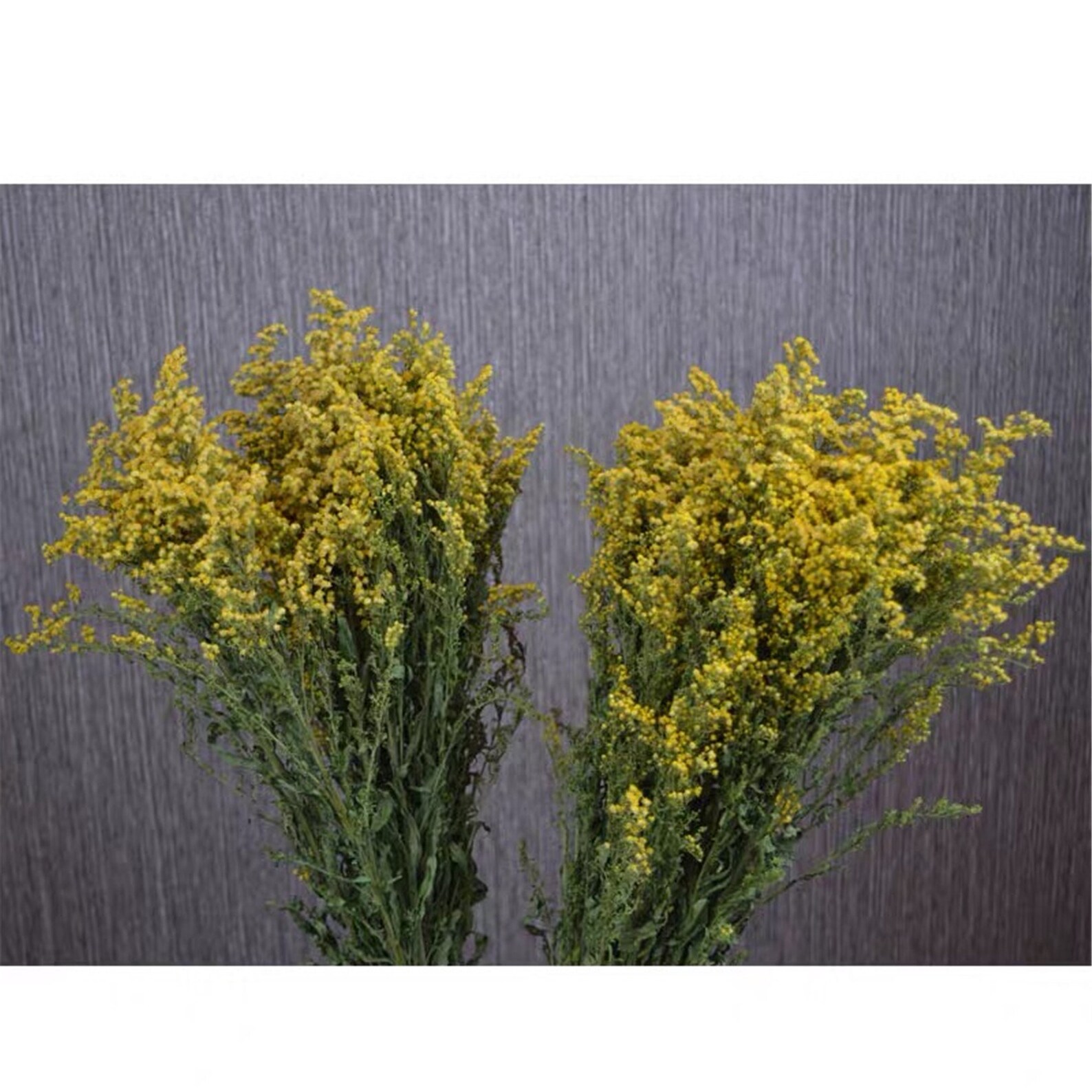 10 Stems Dried Yellow Flowers Dried Flowers Dried Flower Etsy