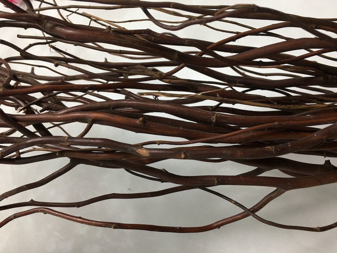 15 dried willow branches / dried branches dried flowers / Etsy