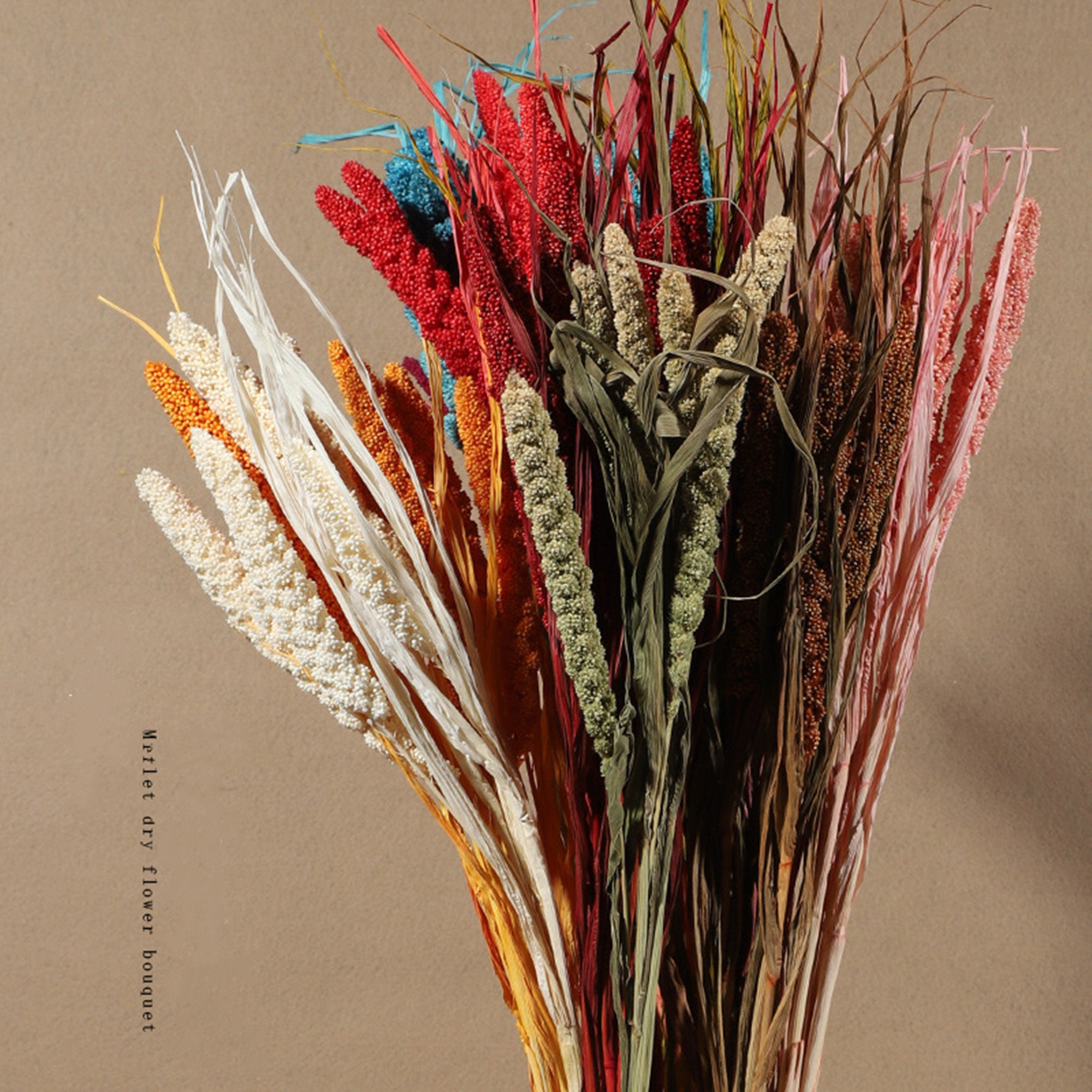 10 stems millet spike dried flower bouquet / millet spike art Etsy