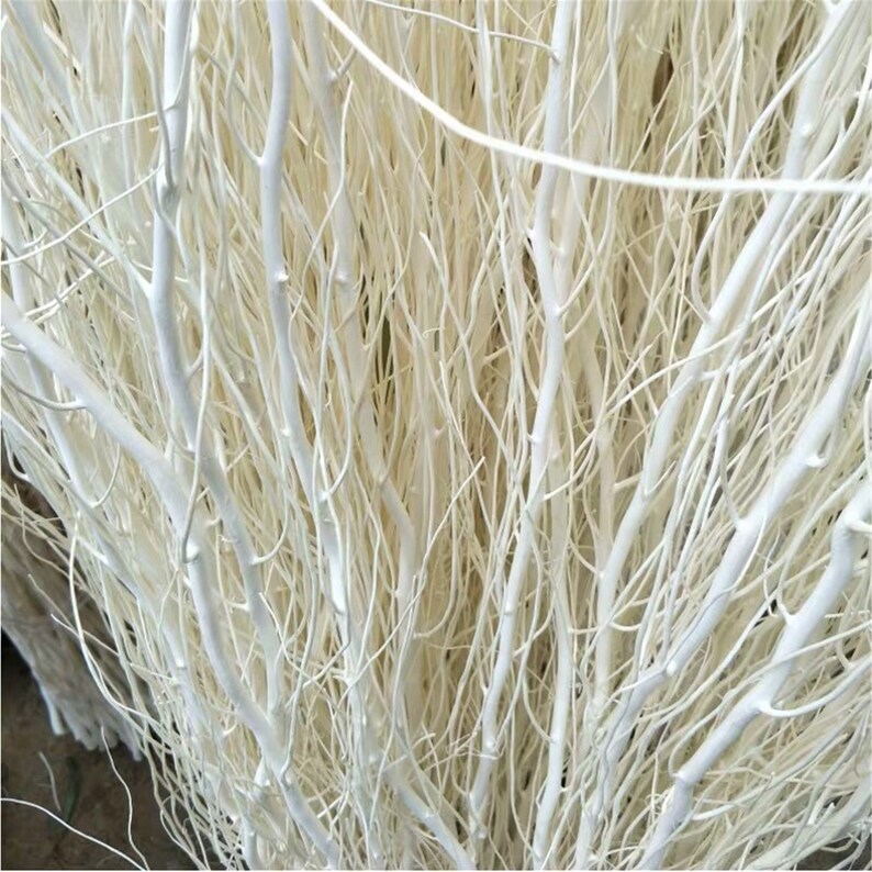 15 dried willow branches / dried branches dried flowers / Etsy