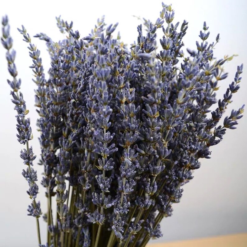 100 Dried Lavender Flowers / Natural Dried Flowers / Dried Etsy