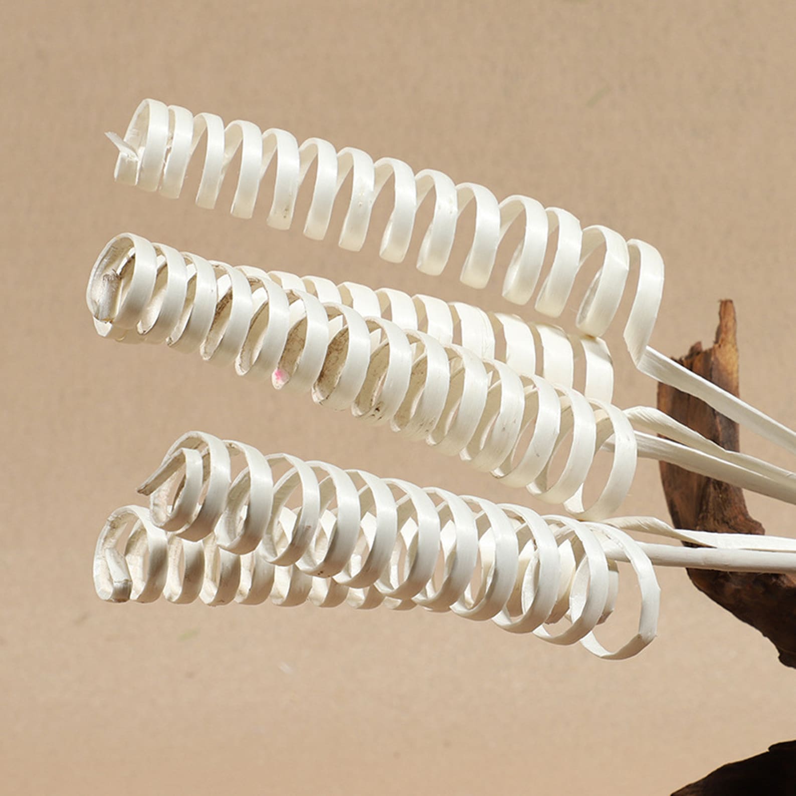 Screw Willow 10 Stems of Flower Bouquets / Home Floral Hand Etsy