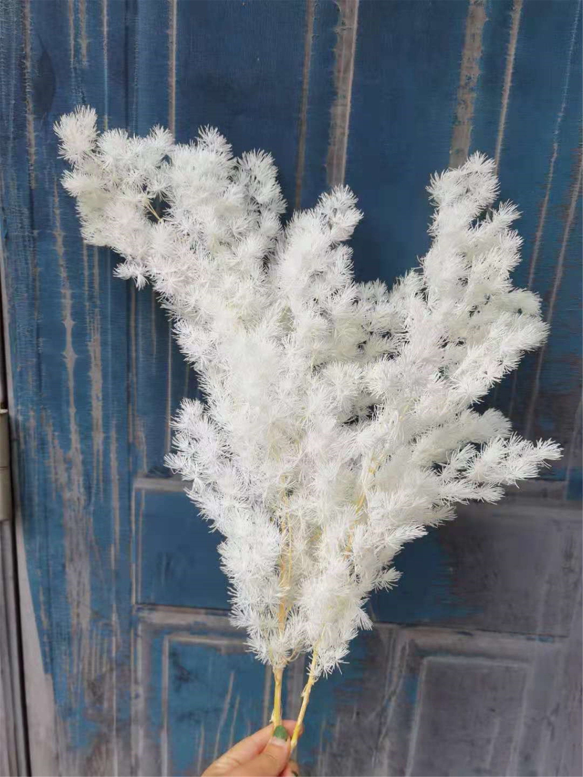 White fluffy pine branches/white dried flower bouquet/flower Etsy