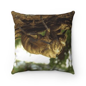 Cicada shell. It was in a hurry. Spun Polyester Square Pillow