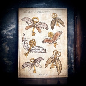 Drôles d'oiseaux. Impression A4.