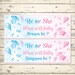 2 Personalised Baby Reveal Banners - Any NAME Pale Pink&Blue 