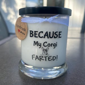 Because My Corgi Farted 12 oz Soy Candle.Corgi gift.Funny Corgi gift.Funny candle.Corgi decor.Corgi