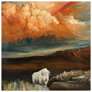 May include: A white buffalo stands in a grassy field with a dramatic orange and red sky in the background. The sky is filled with large, fluffy clouds. The buffalo is looking to the right of the image.