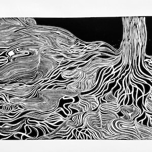 Roots