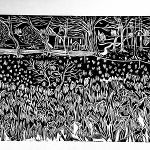 Snowdrops at Oxborough An Original Print