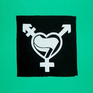 LGBTQ patch,Transgender Symbol,No Terfs,Trans Equallity,Punk Patches,Trans Action,Antifa Patches,Anarchy Patches,Punk Patch,Anarchy Patches