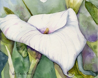 White Calla Lily Painting / Spring Flower/ Gift for Mom/White Calla Lily/  Giclee Print/Original Watercolor Painting by Debi Garcia-Benson