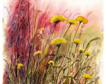 Red Yarrow watercolor painting original 5 x 7 small flower art