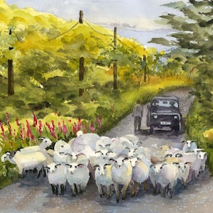 Irish Sheep Watercolor/ Ireland Traffic Jam/ Ireland Landscape/ Flock of Sheep/ Leprechaun Green/ Giclee Print/ Debi Garcia-Benson