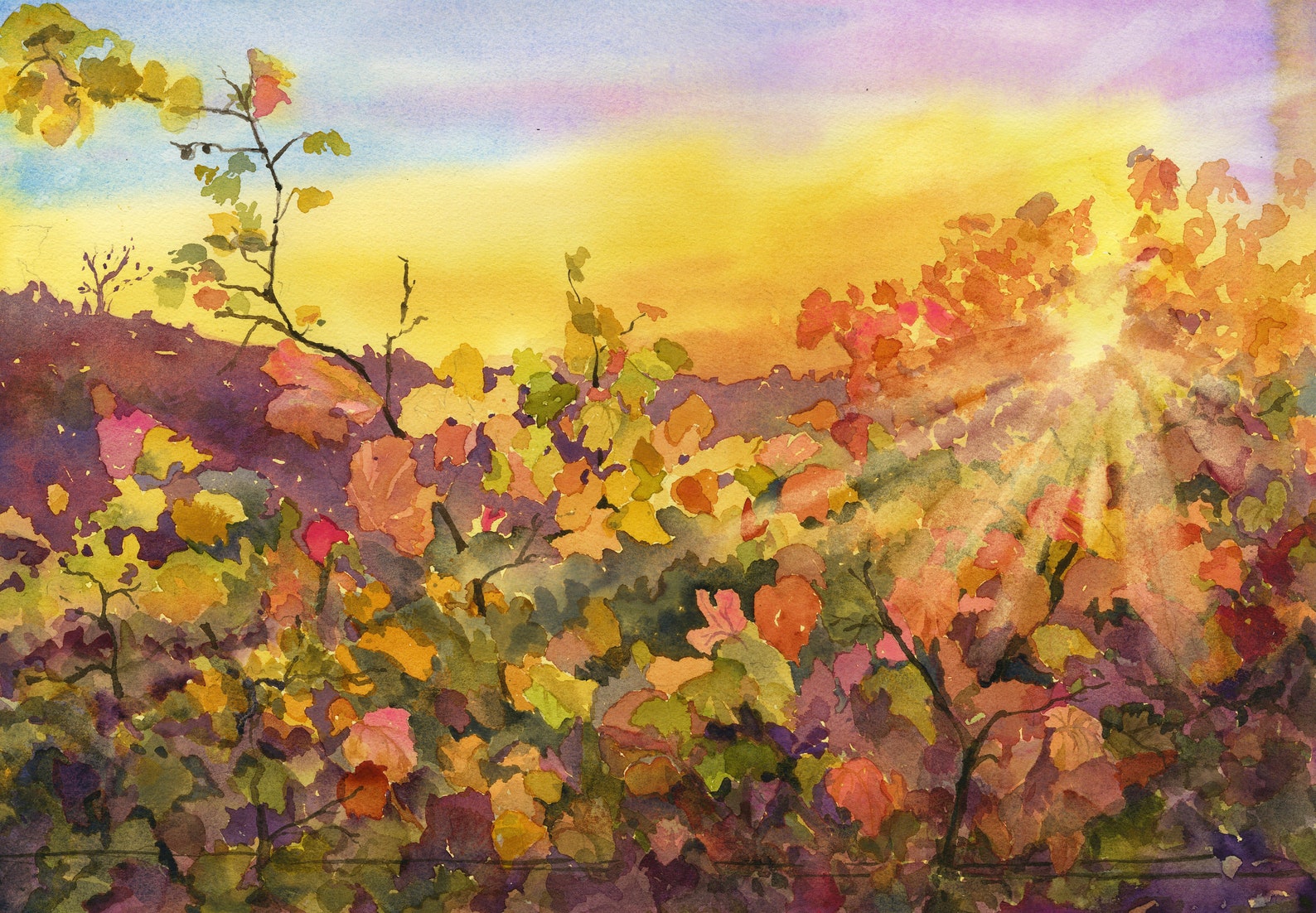 Winery Sunset/ Vineyard Watercolor Sunset/ Wine Country Print/ Wine Art