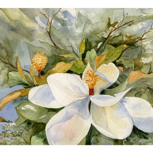 White Magnolia Watercolor Painting/ Magnolia Giclee Art Print/ White Magnolia Flower/ Wedding or Birthday Gift/ Original Debi Garcia-Benson