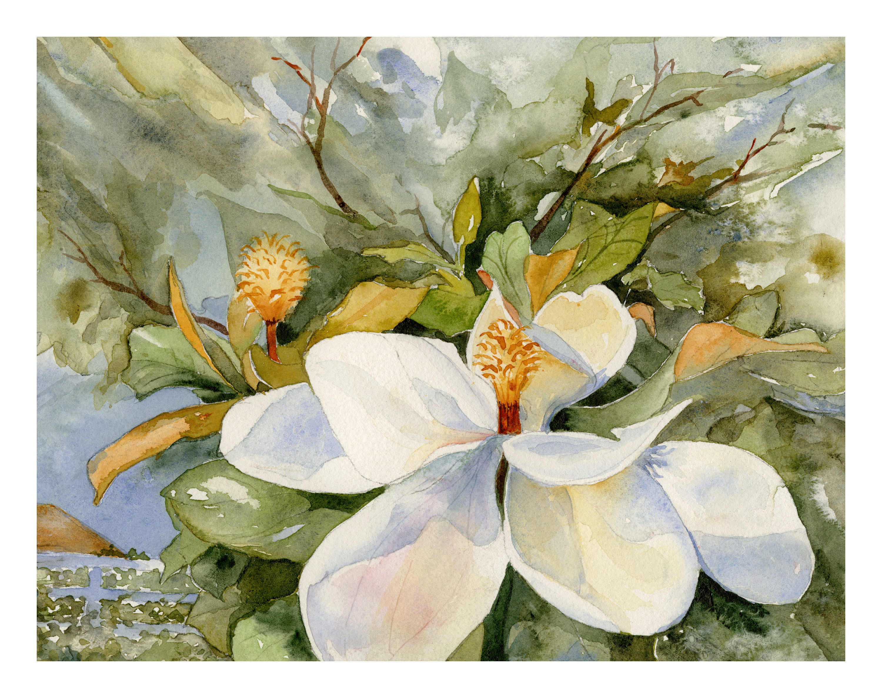 White Magnolia Watercolor Painting/ Magnolia Giclee Art Print/ White Magnolia Flower/ Wedding or Birthday Gift/ Original Debi Garcia-Benson
