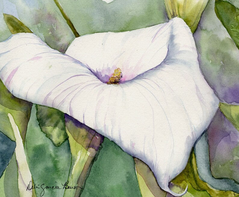 White Calla Lily Painting / Spring Flower/ Gift for Mom/White Calla Lily/ Giclee Print/Original Watercolor Painting by Debi Garcia-Benson image 2