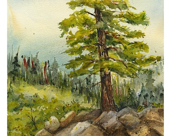 Pine Watercolor,  Big Bear Watercolor, Forest Landscape, Mountain Painting, Cabin Art,  Gicle' Print, Original Art by Debi Garcia-Benson