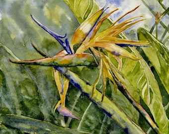 Bird of Paradise Watercolor Painting/ Orange Flower/ Tropical Flower/  Botanical Giclee' Print/ Original/ Debi Garcia-Benson/  Wedding Gift