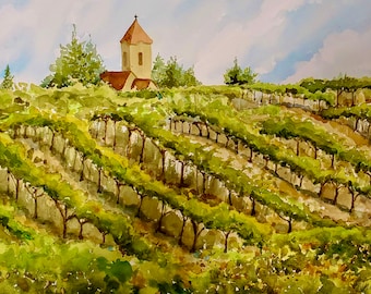 Tuscany Vineyard Watercolor /  Italian Grapevines/ Wine Country/ Italian Landscape/ Giclee' Print / Original Painting by Debi Garcia-Benson