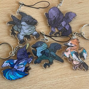 May include: Five colourful cartoon bird charms with keychains. The charms are made of clear acrylic with a printed design. The birds are a blue jay, a teal bird, a pink and white bird, a purple bird, and a grey bird.