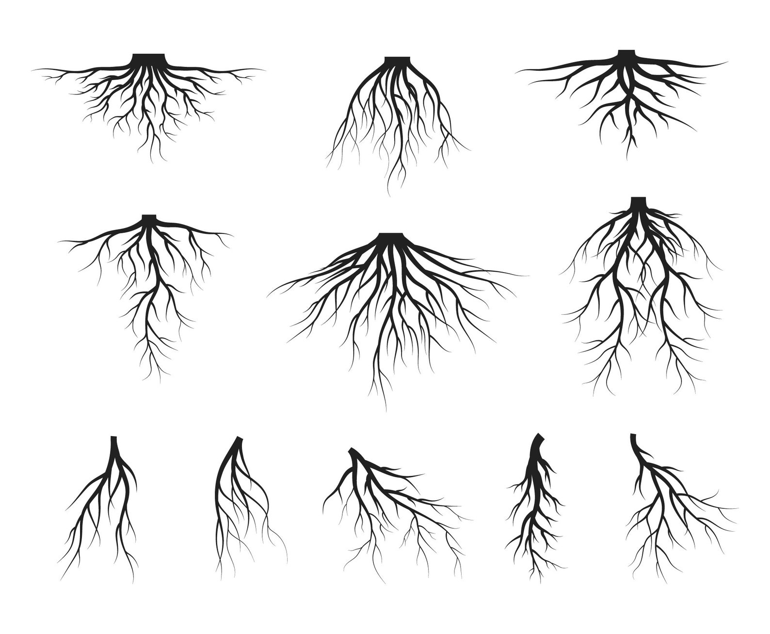 Download Roots SVG Dxf Png root tree roots svg family tree svg | Etsy