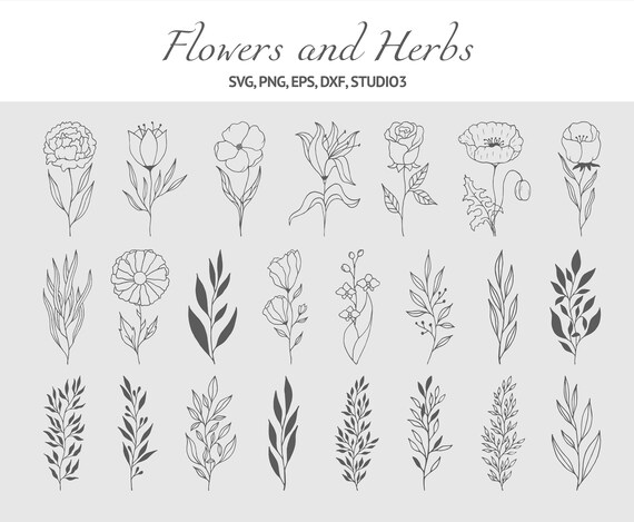 Download Branches Svg Flower Stem Svg Png Dxf Eps Hand Drawn Etsy