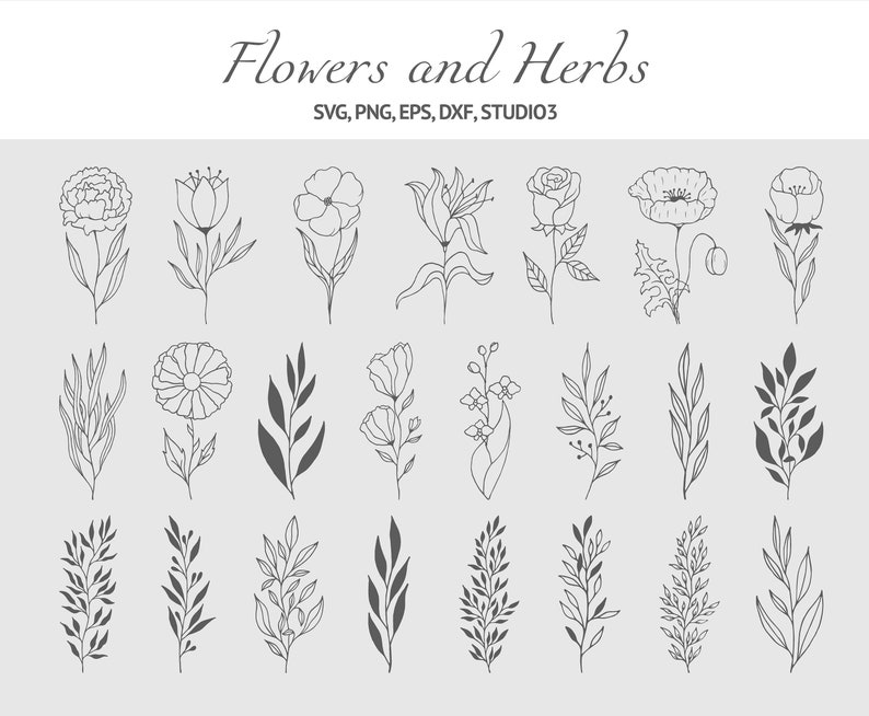 Download Silhouette Cut Files Hand Drawn Flourish Svg Dxf Wedding Flowers And Herbs Eps Floral Svg Clipart Png Flower Stem Svg Branches Svg Die Cuts Craft Supplies Tools Colonialgolfhart Com
