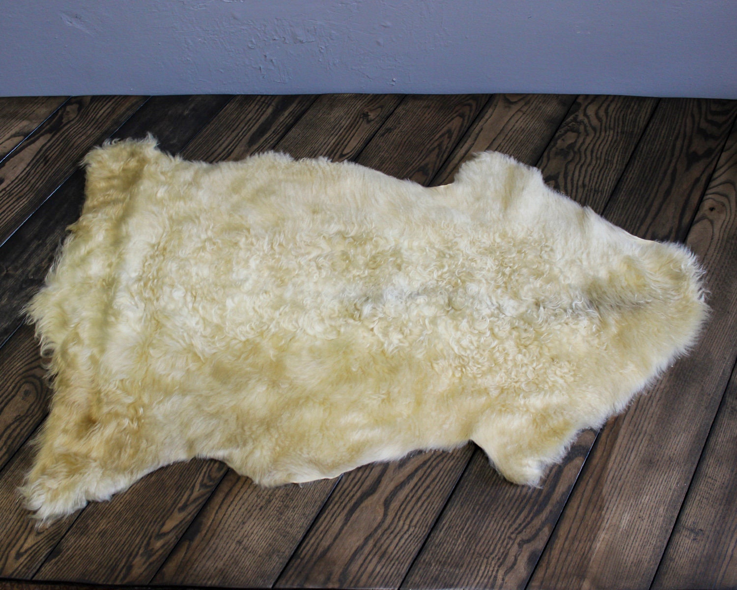 bone marrow bones for puppies