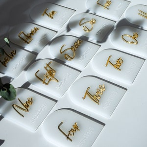 Cartes d'étape mensuelles de bébé, disques d'étape mensuelle de bébé, cartes d'étape de bébé fille bébé garçon, marqueur d'étape mensuelle de bébé acrylique, cadeau